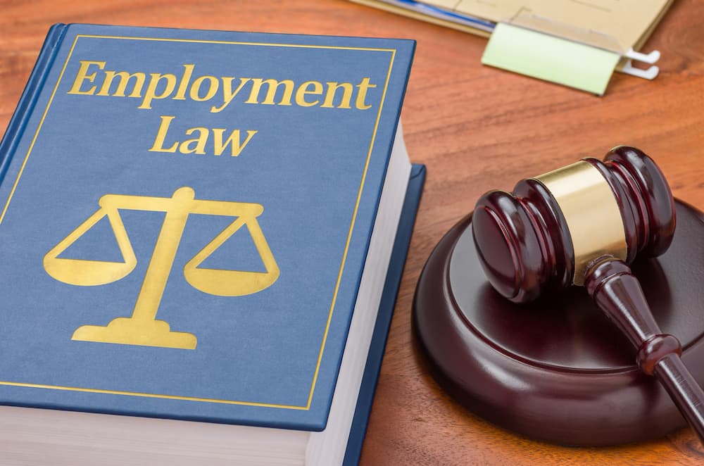 Employment Law Attorney
